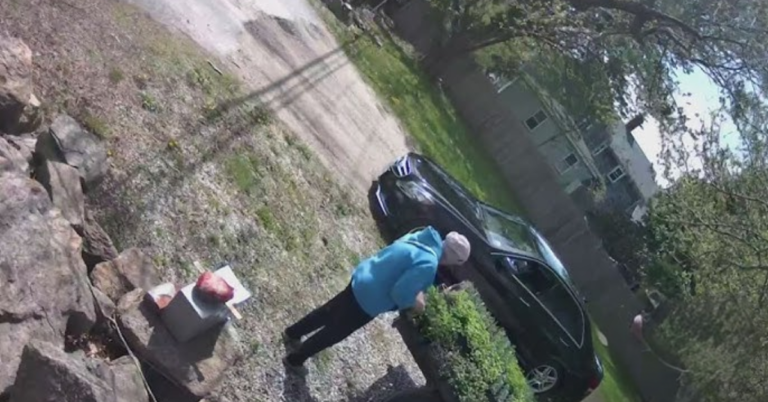 Shocking Crime: 75-Year-Old Woman Confesses to Stealing from Local Farm Stand