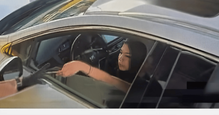 Stolen SUV Crossing International Border Sparks Major Law Enforcement Response!